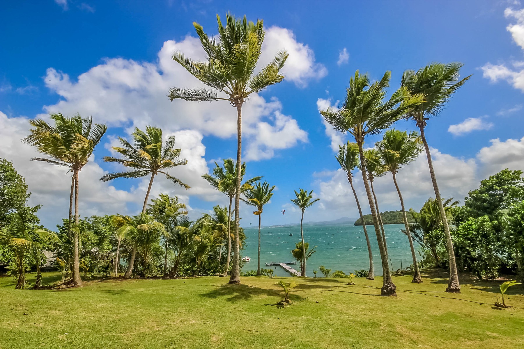 Trois-Îlets - Villa 4 ou 6 chambres en bord de mer avec piscine